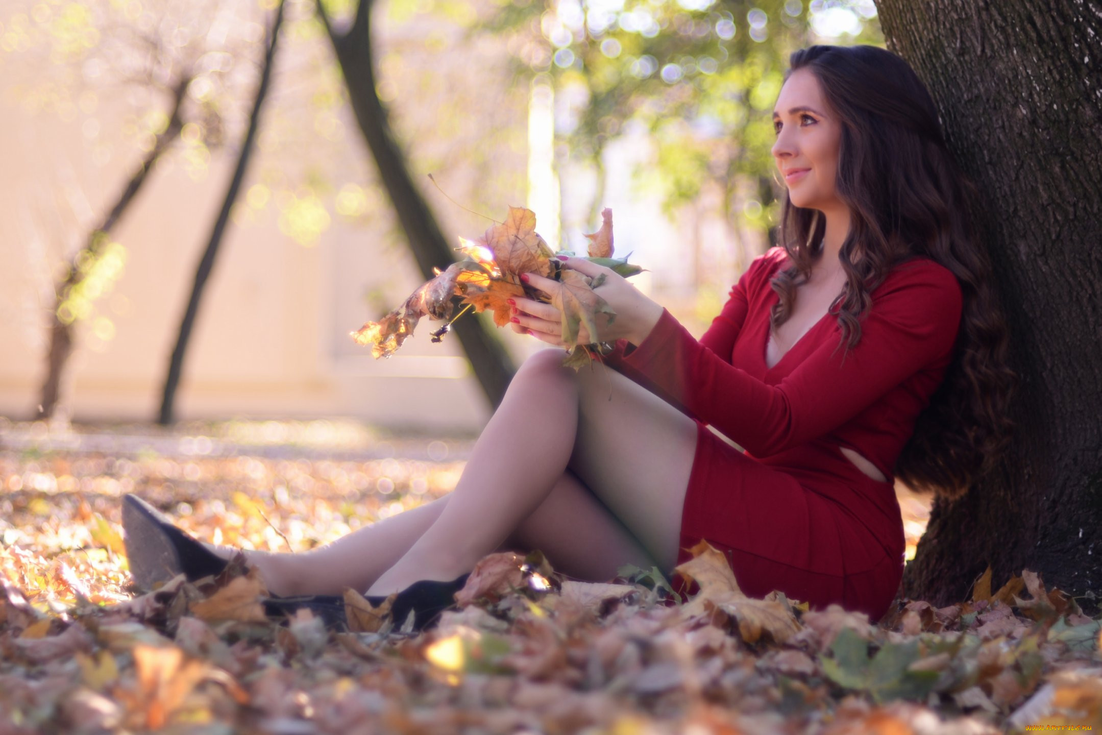 amanda rochelle, �������, - ��������,  �������, �������, �������, �������, ������������, �����������, ������, ������, ��������, ������, �����, �������, ��������, ������, ������, �����������, �����, �����, ������, ��������, �����, ����������, ������, �, ���������, ���������, ��, ����������